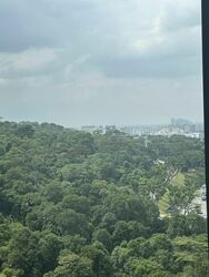 Midwood (D23), Condominium #569201321
